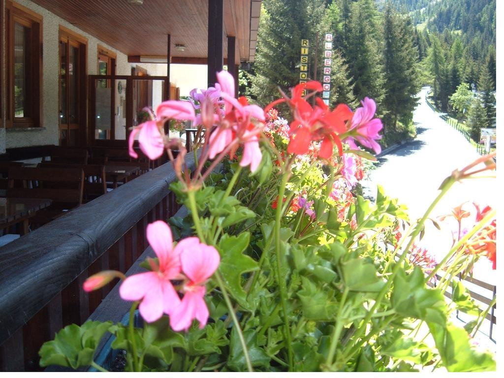 Albergo Pineta Gerola Alta ภายนอก รูปภาพ